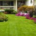 5 Amazing Home Lawn Maintenance Tips