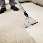 professional carpet cleaning