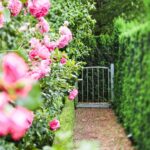 The Top Garden Trends that Will Increase the Value of Your Property