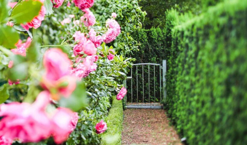 The Top Garden Trends that Will Increase the Value of Your Property